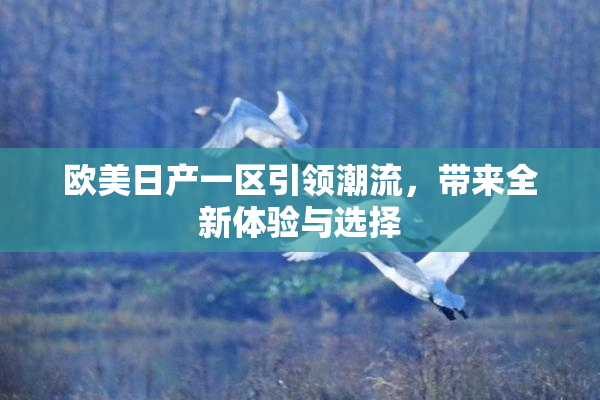 欧美日产一区引领潮流，带来全新体验与选择