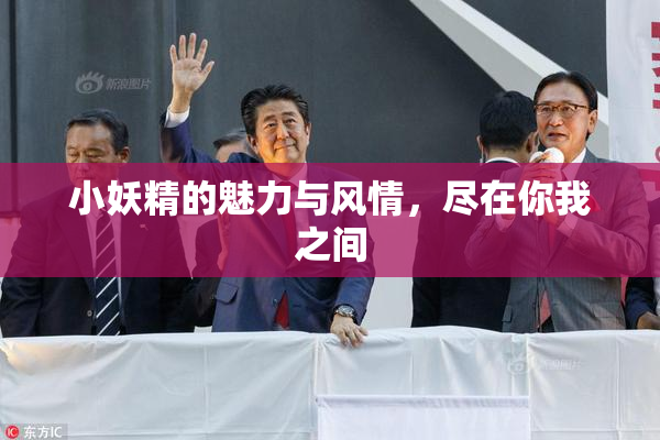 小妖精的魅力与风情，尽在你我之间