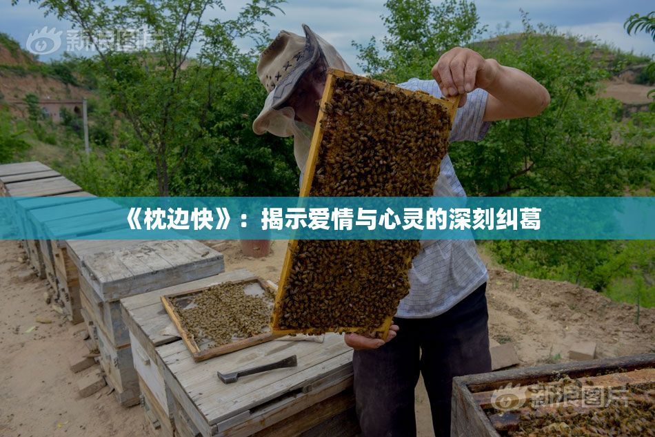 《枕边快》：揭示爱情与心灵的深刻纠葛