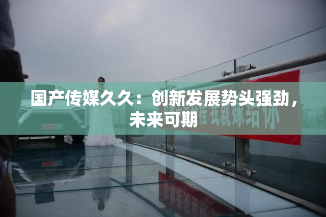 国产传媒久久：创新发展势头强劲，未来可期