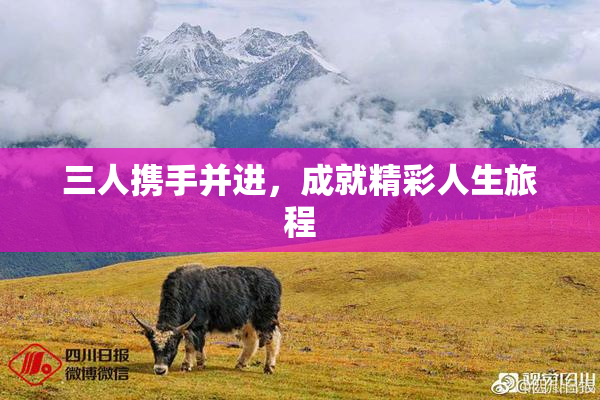 三人携手并进，成就精彩人生旅程