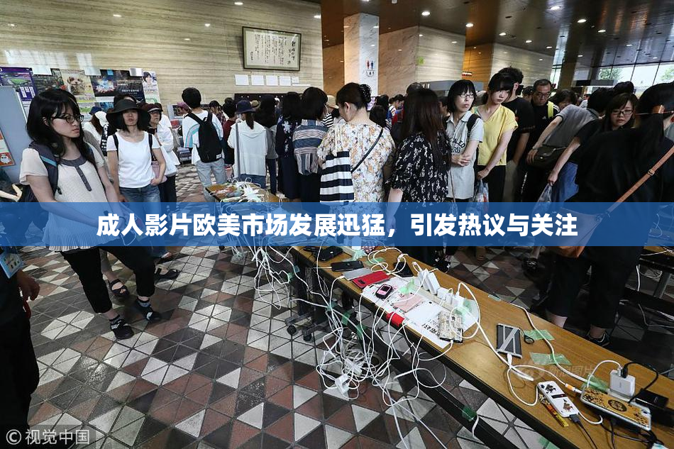 成人影片欧美市场发展迅猛，引发热议与关注