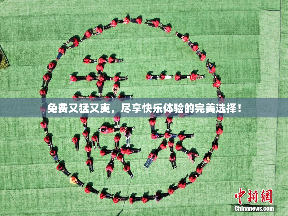 免费又猛又爽，尽享快乐体验的完美选择！
