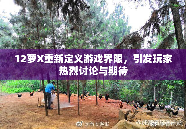 12萝X重新定义游戏界限，引发玩家热烈讨论与期待