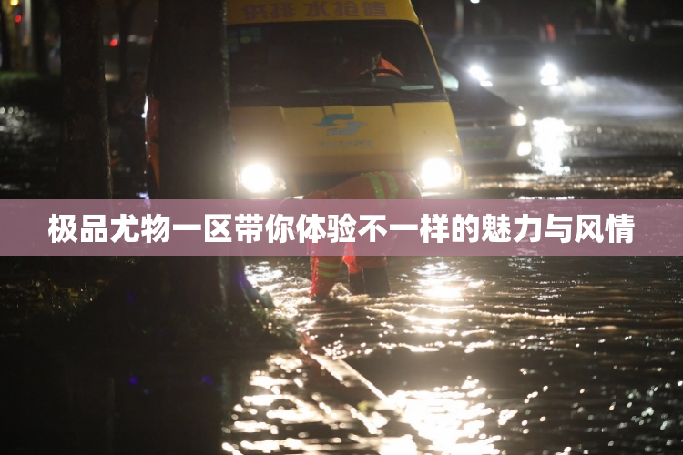 极品尤物一区带你体验不一样的魅力与风情