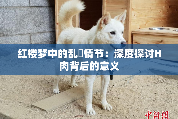 红楼梦中的乱婬情节：深度探讨H肉背后的意义
