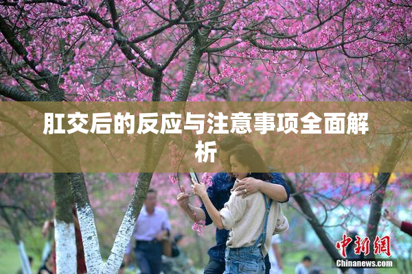 肛交后的反应与注意事项全面解析