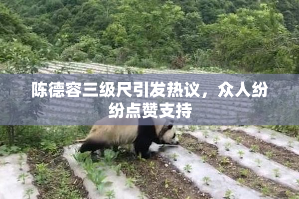 陈德容三级尺引发热议，众人纷纷点赞支持