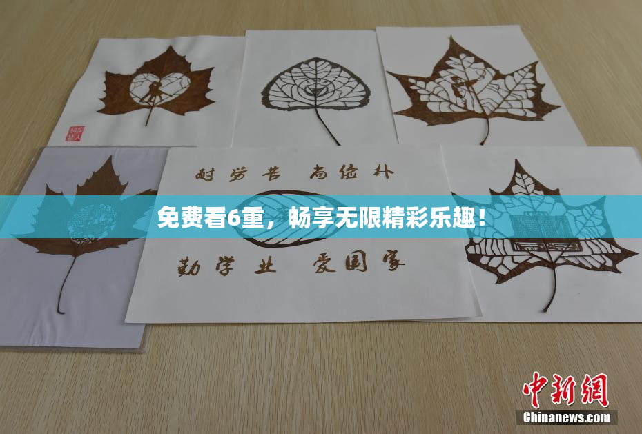免费看6重，畅享无限精彩乐趣！