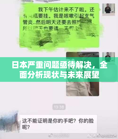 日本严重问题亟待解决，全面分析现状与未来展望