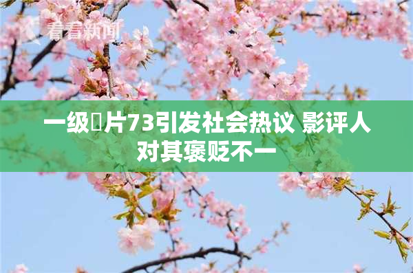 一级婬片73引发社会热议 影评人对其褒贬不一