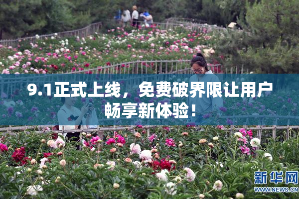 9.1正式上线，免费破界限让用户畅享新体验！