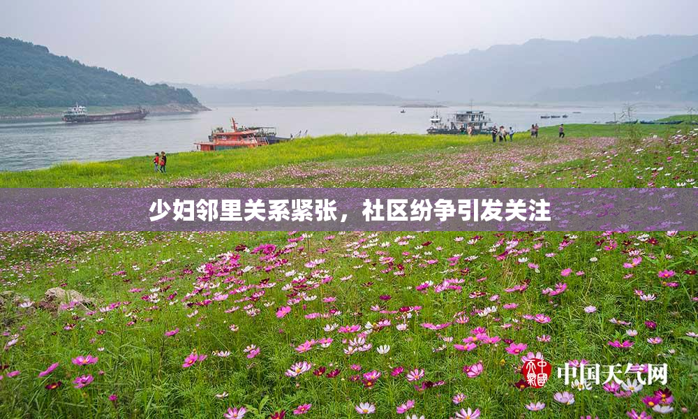 少妇邻里关系紧张，社区纷争引发关注