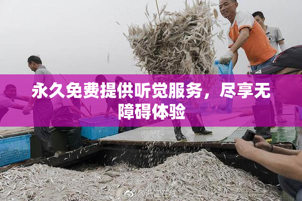 永久免费提供听觉服务，尽享无障碍体验