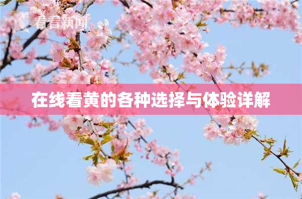 在线看黄的各种选择与体验详解