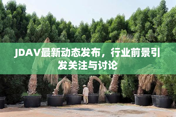JDAV最新动态发布，行业前景引发关注与讨论