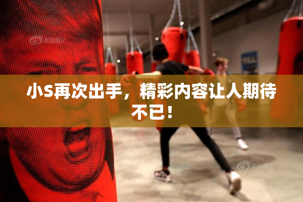 小S再次出手，精彩内容让人期待不已！