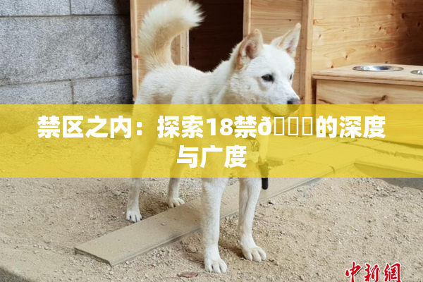 禁区之内：探索18禁🍆的深度与广度
