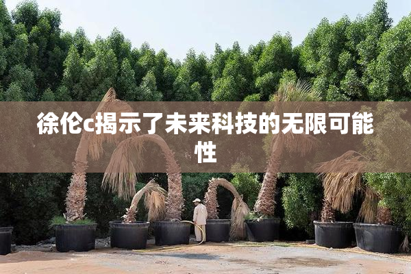 徐伦c揭示了未来科技的无限可能性