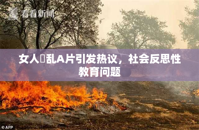女人婬乱A片引发热议，社会反思性教育问题