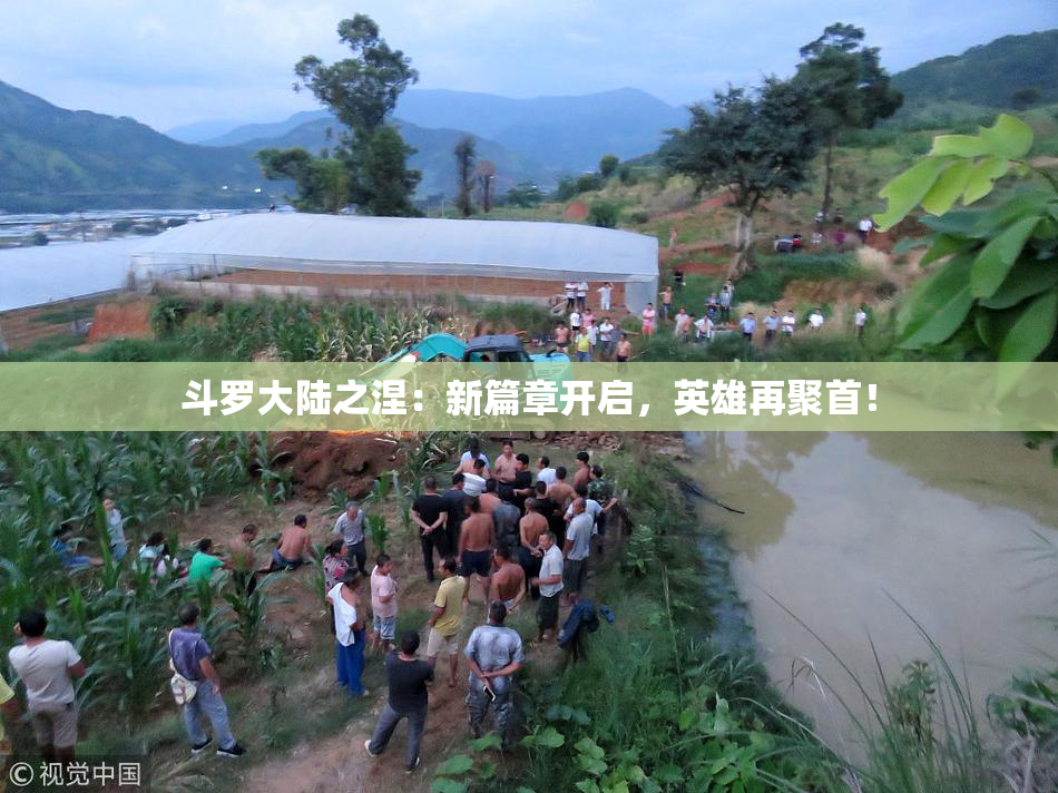 斗罗大陆之涅：新篇章开启，英雄再聚首！