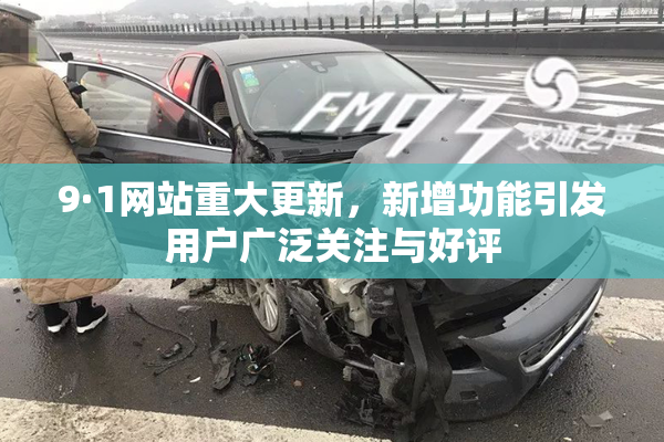 9·1网站重大更新，新增功能引发用户广泛关注与好评