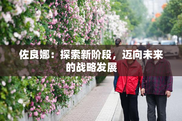 佐良娜：探索新阶段，迈向未来的战略发展