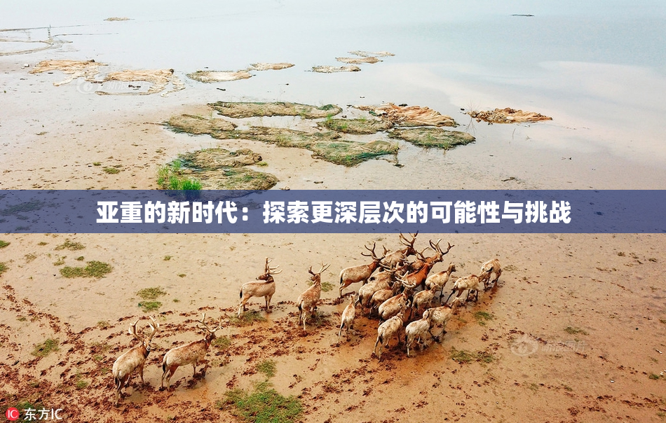 亚重的新时代：探索更深层次的可能性与挑战