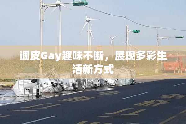 调皮Gay趣味不断，展现多彩生活新方式