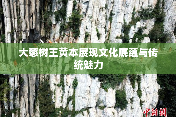 大慈树王黄本展现文化底蕴与传统魅力