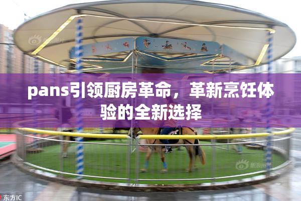 pans引领厨房革命，革新烹饪体验的全新选择