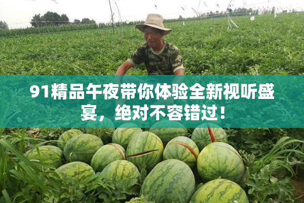 91精品午夜带你体验全新视听盛宴，绝对不容错过！