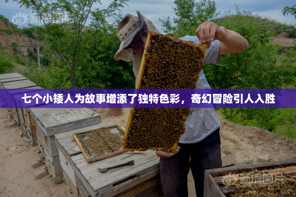 七个小矮人为故事增添了独特色彩，奇幻冒险引人入胜