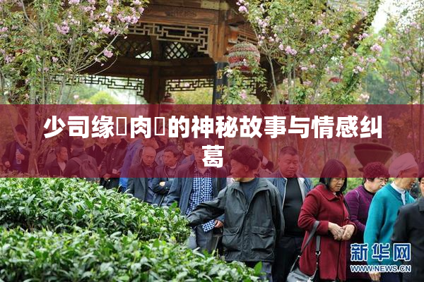 少司缘婬肉泬的神秘故事与情感纠葛
