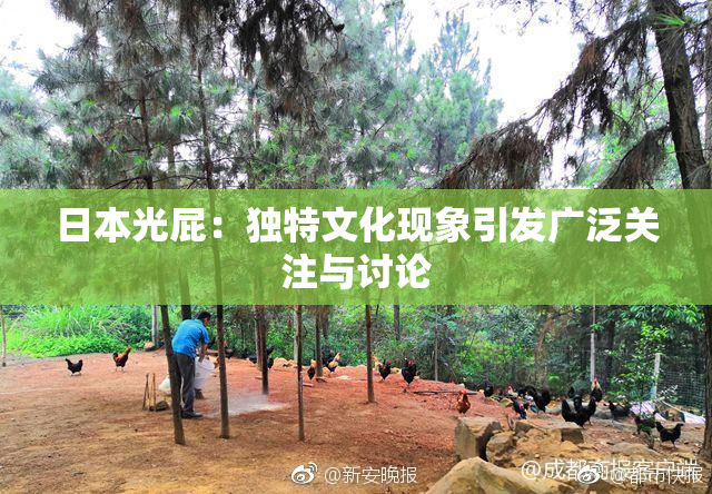 日本光屁：独特文化现象引发广泛关注与讨论