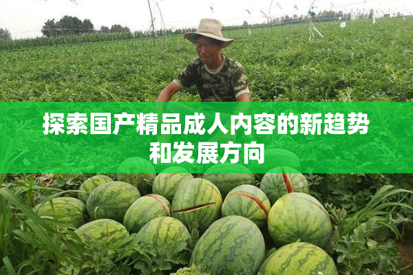 探索国产精品成人内容的新趋势和发展方向