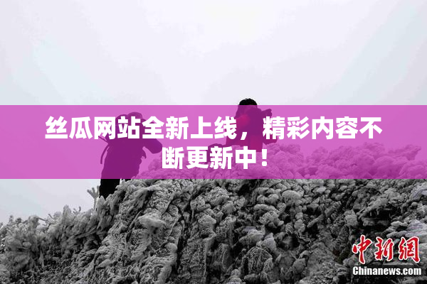 丝瓜网站全新上线，精彩内容不断更新中！