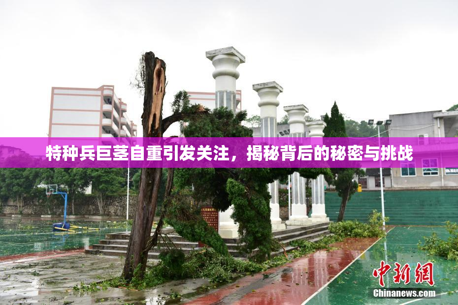 特种兵巨茎自重引发关注，揭秘背后的秘密与挑战