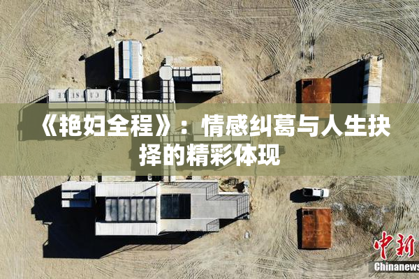 《艳妇全程》：情感纠葛与人生抉择的精彩体现