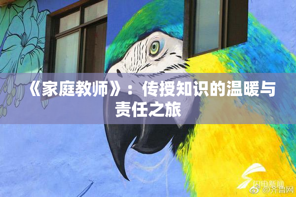 《家庭教师》：传授知识的温暖与责任之旅