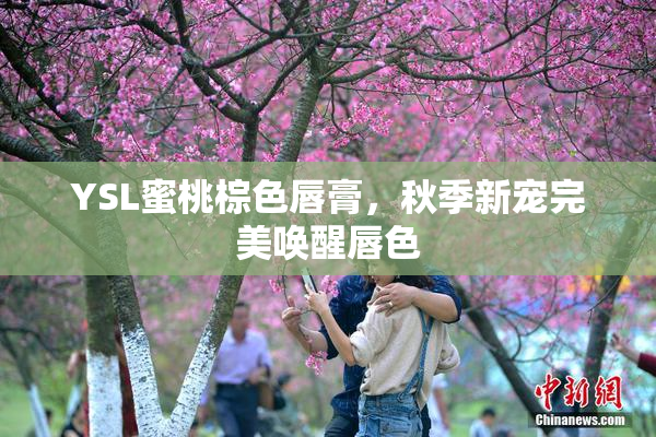 YSL蜜桃棕色唇膏，秋季新宠完美唤醒唇色