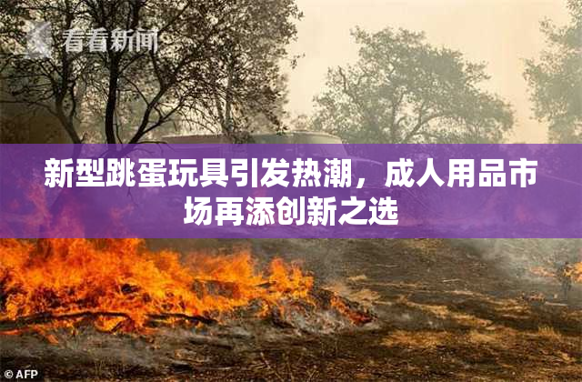 新型跳蛋玩具引发热潮，成人用品市场再添创新之选
