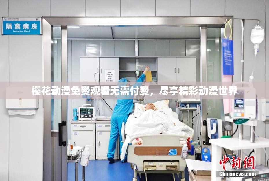 樱花动漫免费观看无需付费，尽享精彩动漫世界