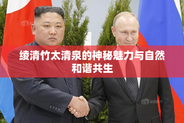 绫清竹太清泉的神秘魅力与自然和谐共生