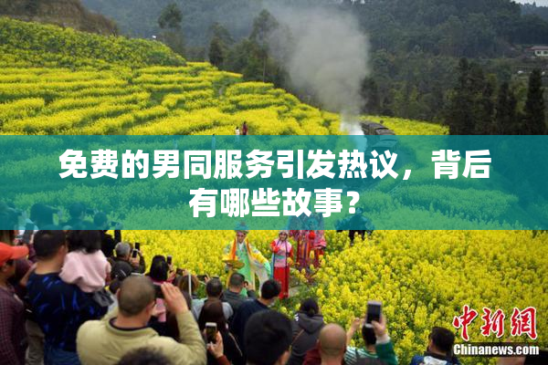 免费的男同服务引发热议，背后有哪些故事？
