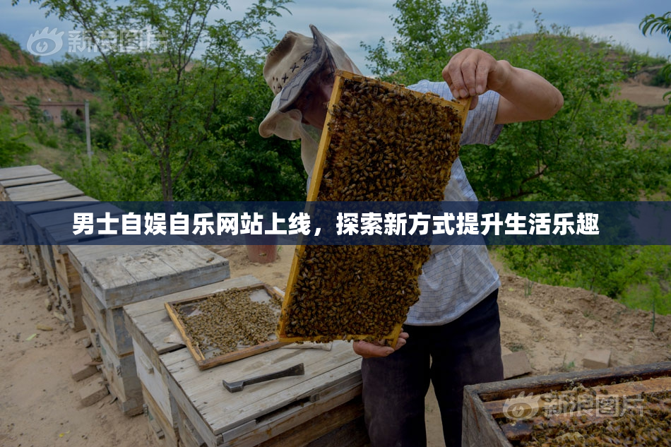 男士自娱自乐网站上线，探索新方式提升生活乐趣