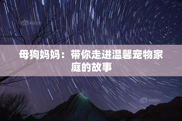母狗妈妈：带你走进温馨宠物家庭的故事
