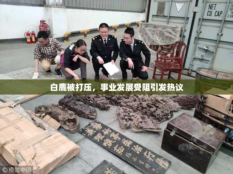 白鹿被打压，事业发展受阻引发热议