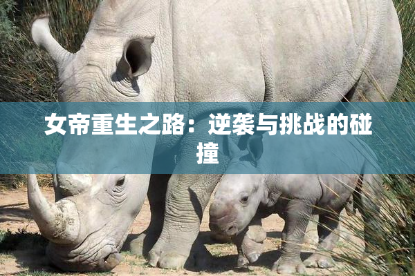 女帝重生之路：逆袭与挑战的碰撞