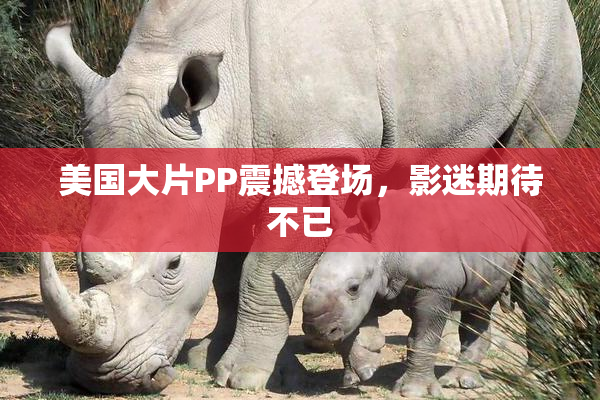 美国大片PP震撼登场，影迷期待不已